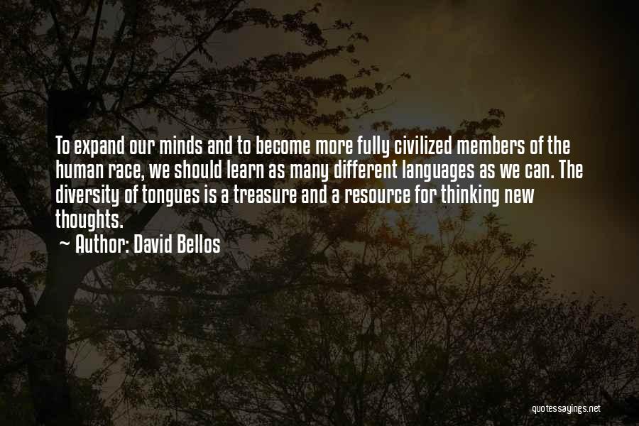 David Bellos Quotes 352660