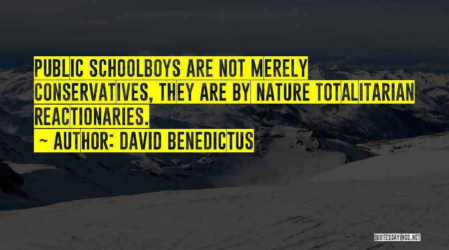 David Benedictus Quotes 1767535