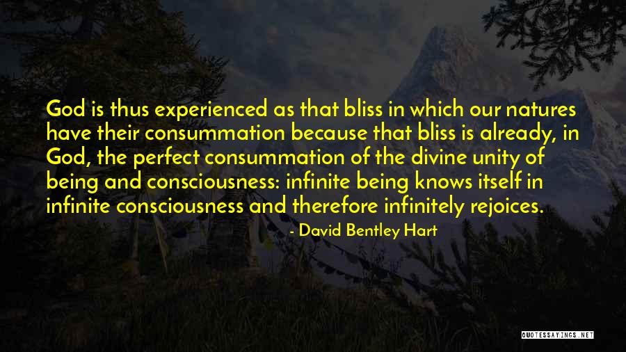 David Bentley Hart Quotes 1299136