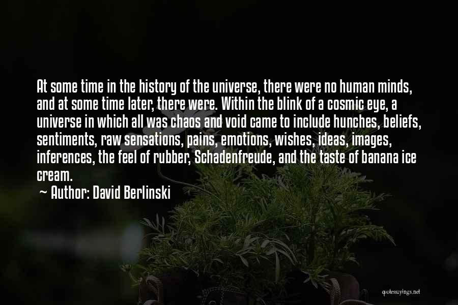 David Berlinski Quotes 911437