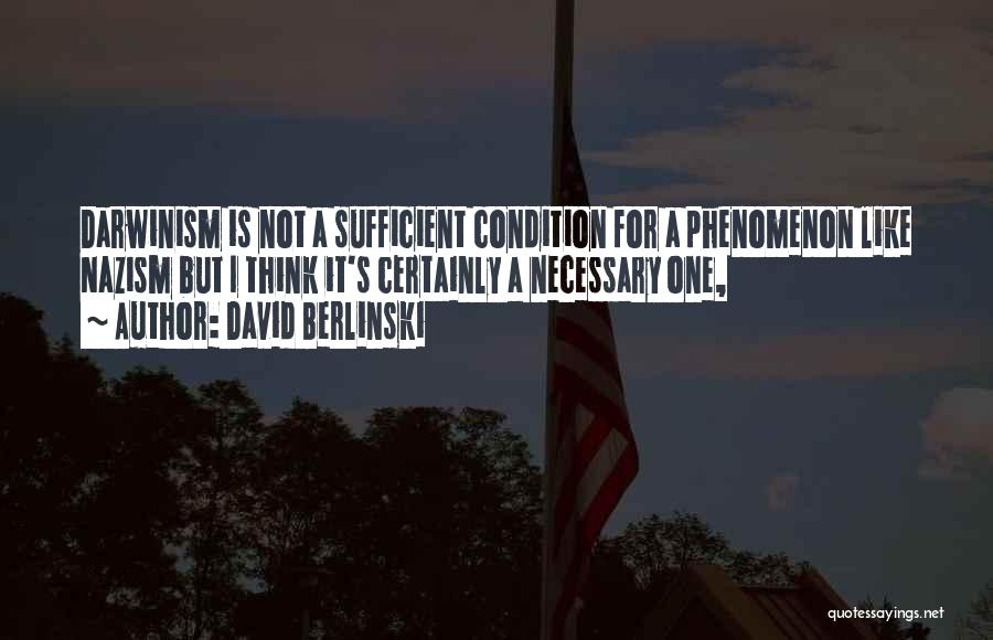 David Berlinski Quotes 981189