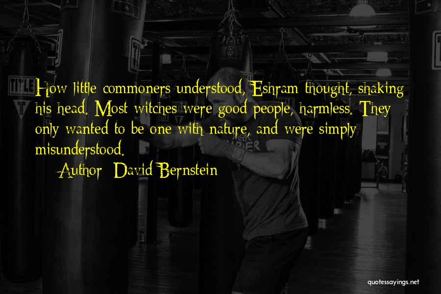 David Bernstein Quotes 234726