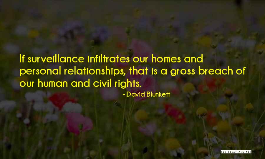 David Blunkett Quotes 1363484