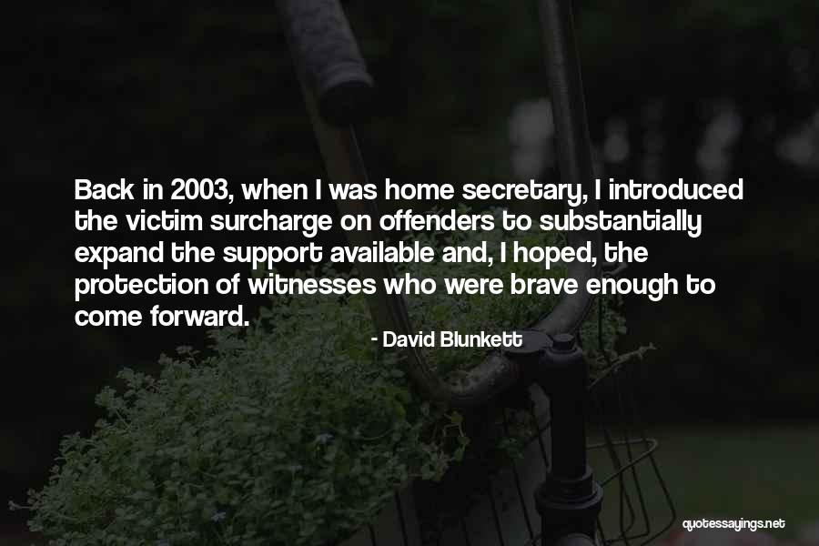 David Blunkett Quotes 1793529