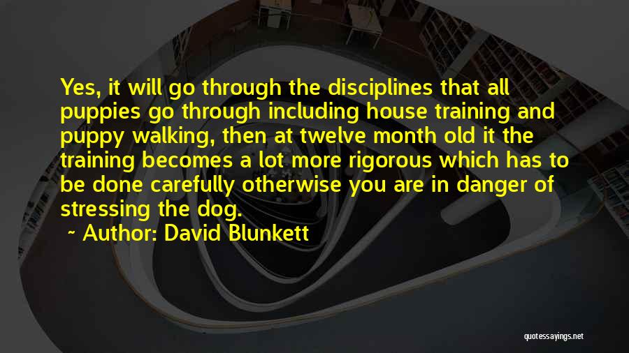 David Blunkett Quotes 1874796