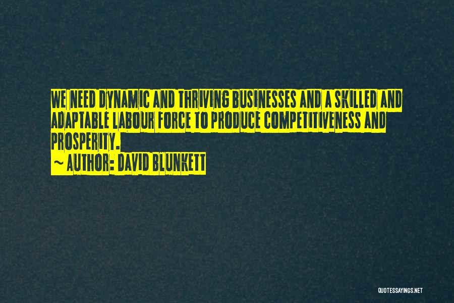 David Blunkett Quotes 2233182