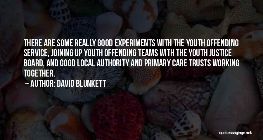David Blunkett Quotes 737903