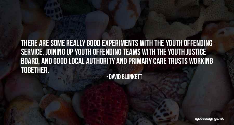 David Blunkett Quotes 737903