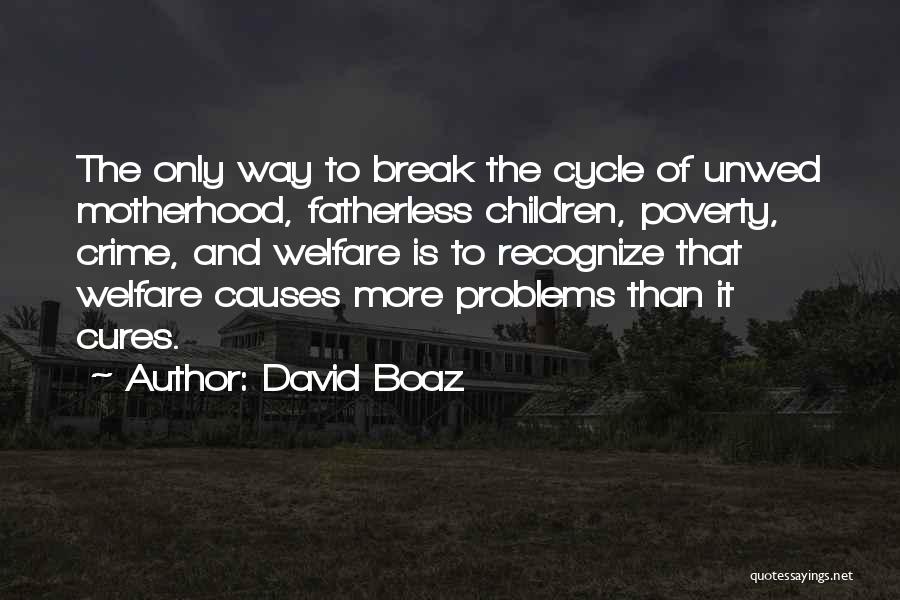 David Boaz Quotes 1613437