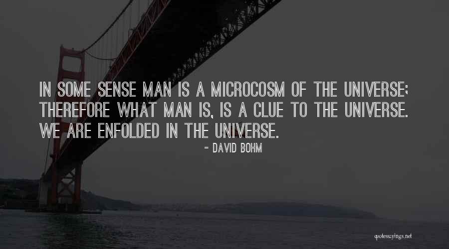 David Bohm Quotes 1188449