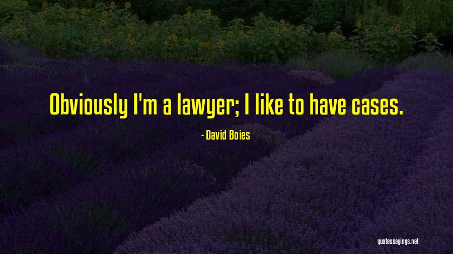 David Boies Quotes 1541375