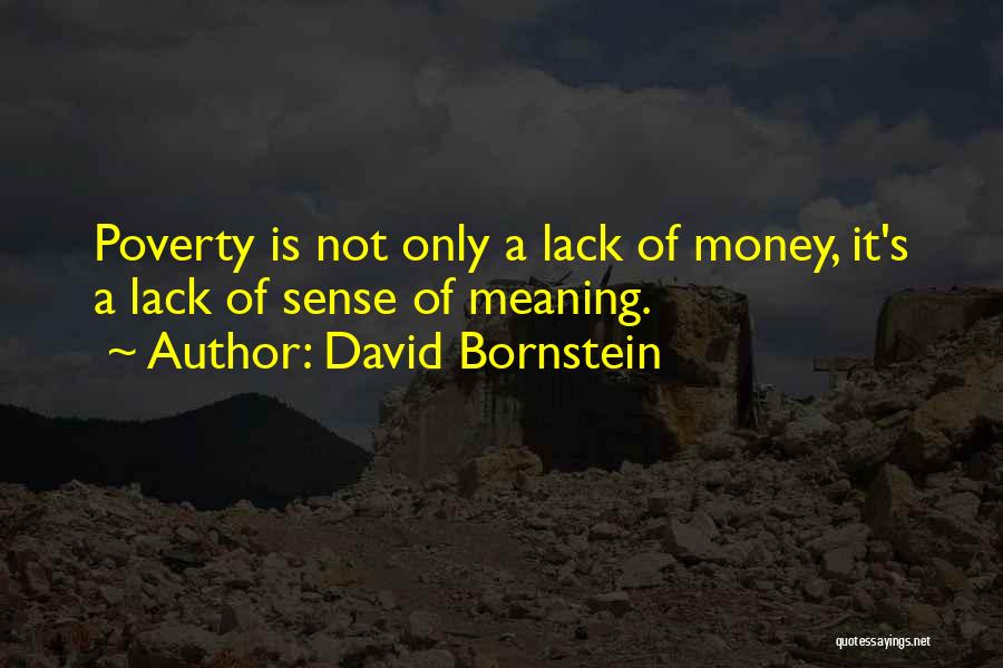 David Bornstein Quotes 1564296