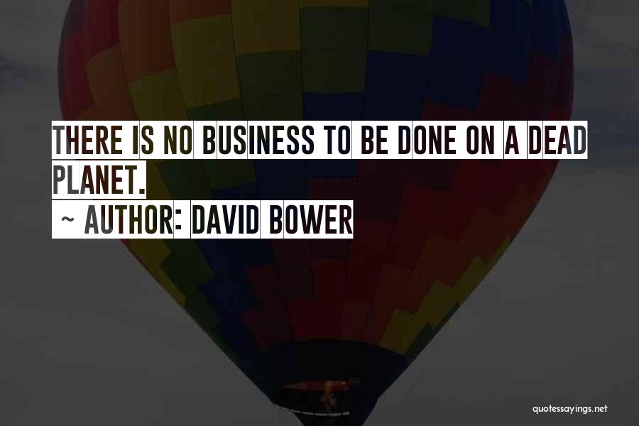 David Bower Quotes 161870