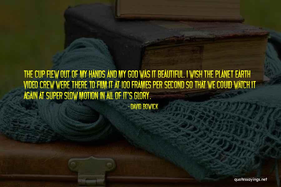 David Bowick Quotes 1023535 David Bowick Quotes 1023535