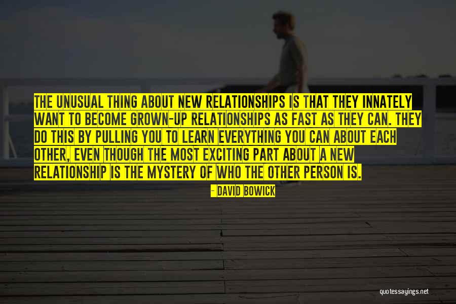 David Bowick Quotes 1582255 David Bowick Quotes 1582255