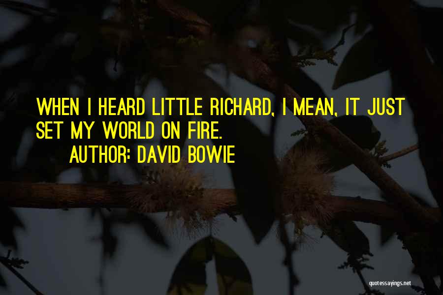 David Bowie Quotes 927926