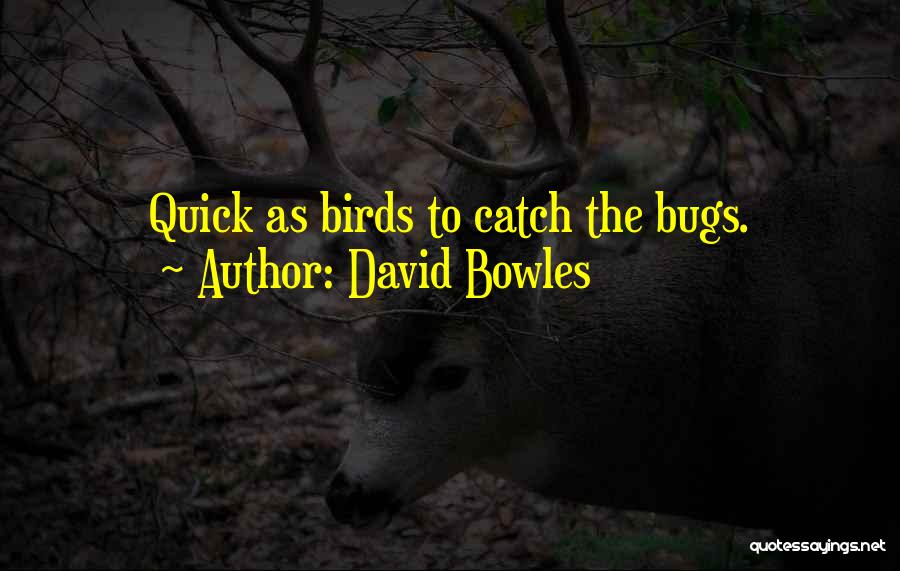 David Bowles Quotes 1440980