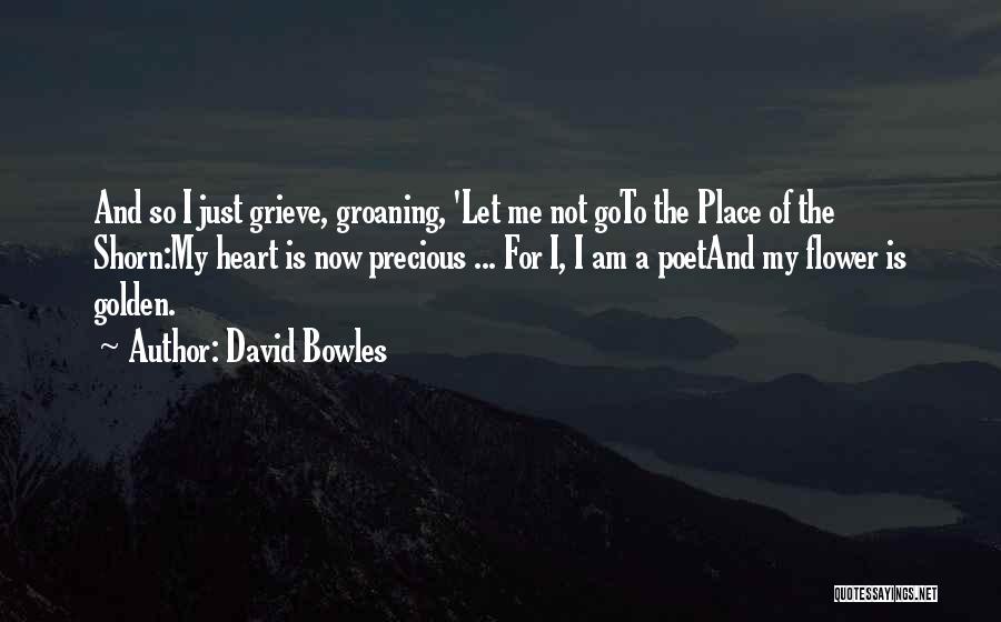 David Bowles Quotes 1672079