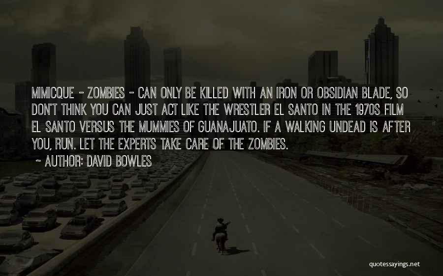 David Bowles Quotes 2010945