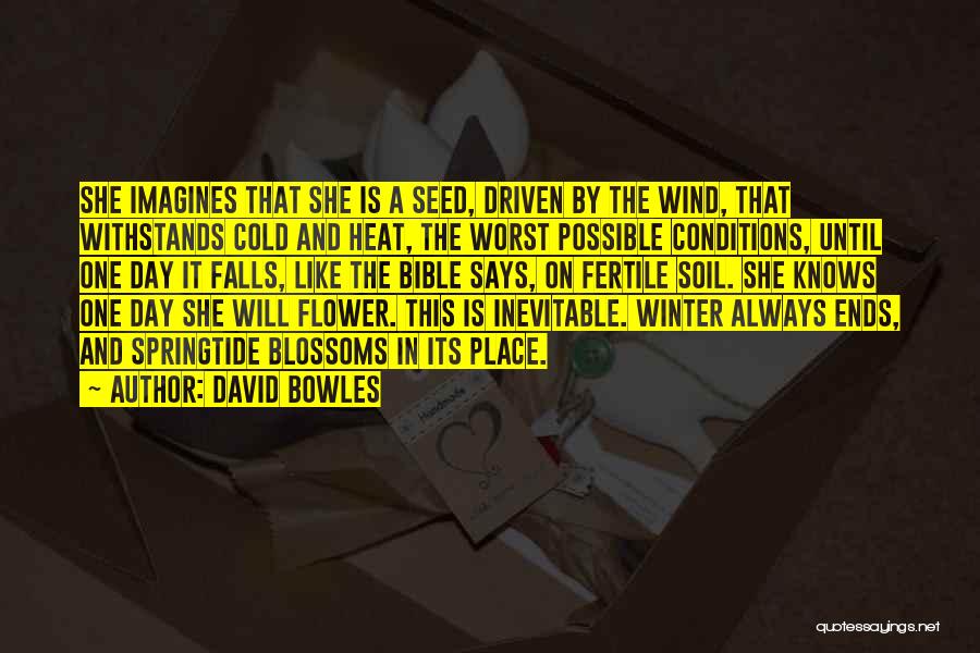 David Bowles Quotes 917596