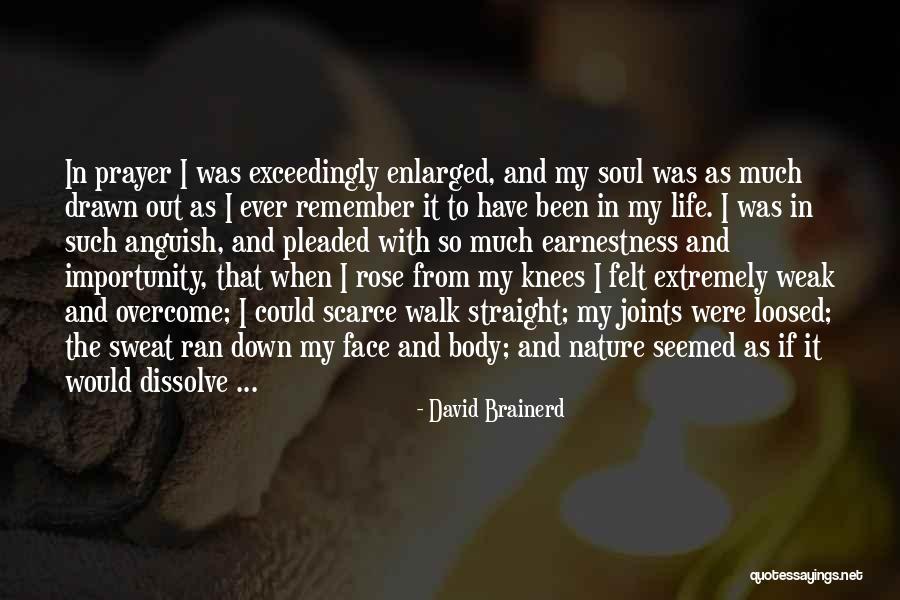 David Brainerd Quotes 1497890 David Brainerd Quotes 1497890