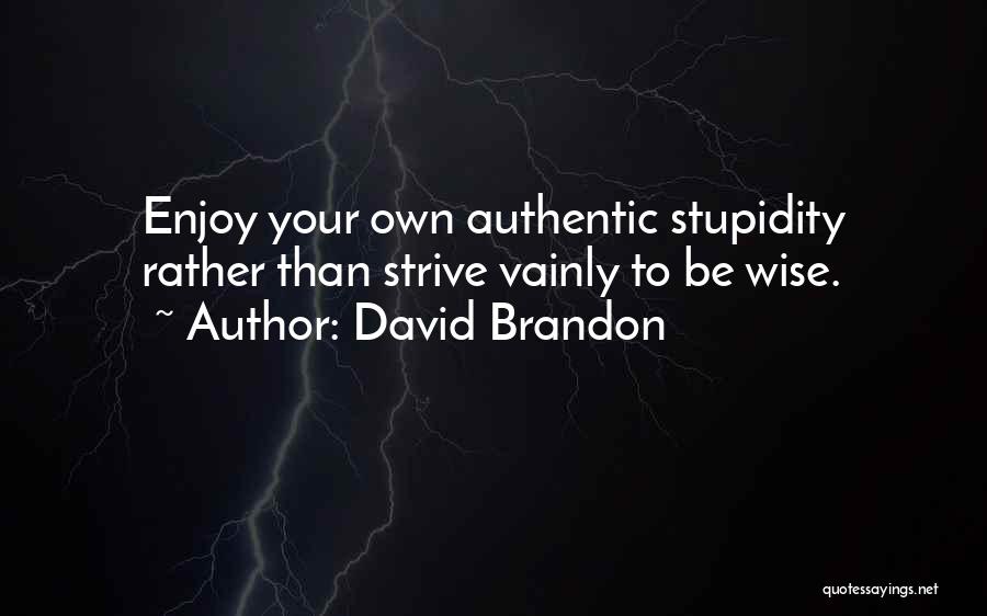 David Brandon Quotes 2067032