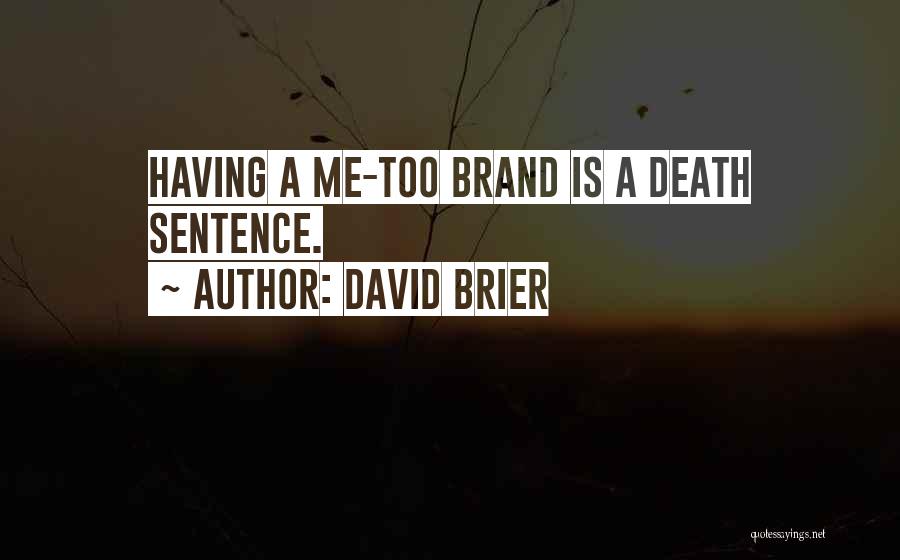 David Brier Quotes 1463993