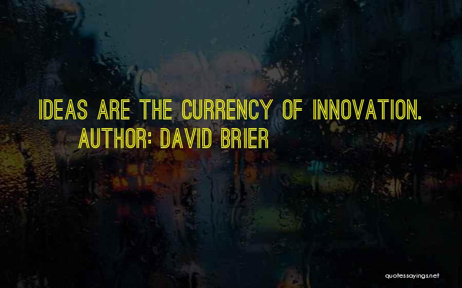 David Brier Quotes 1903840