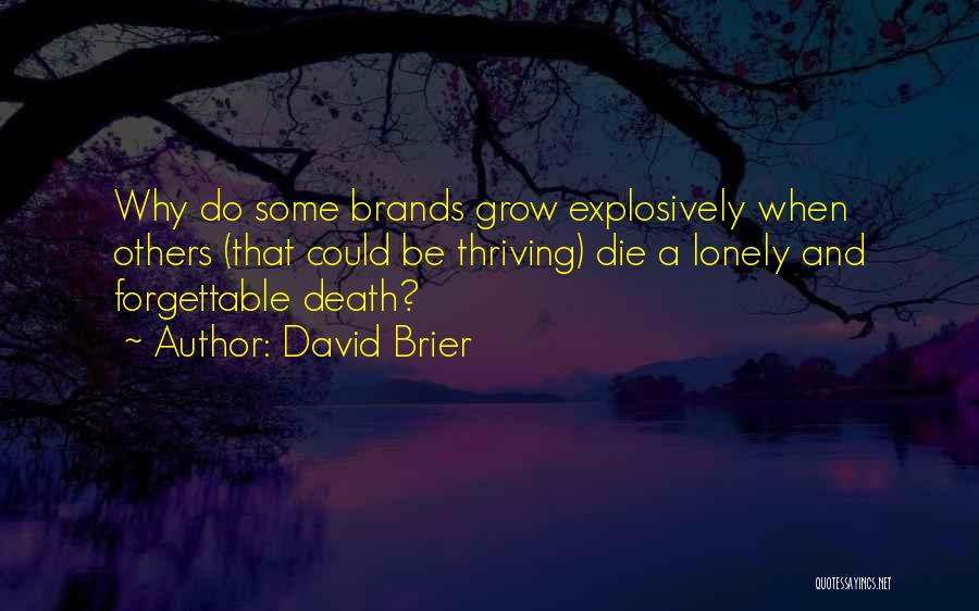 David Brier Quotes 2225332