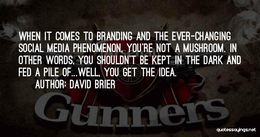 David Brier Quotes 943323