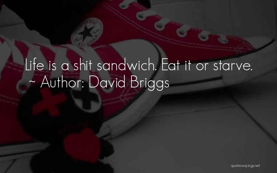 David Briggs Quotes 1396794