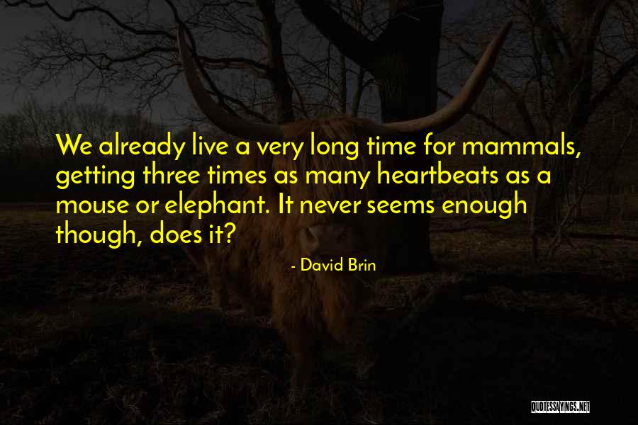 David Brin Quotes 1292124