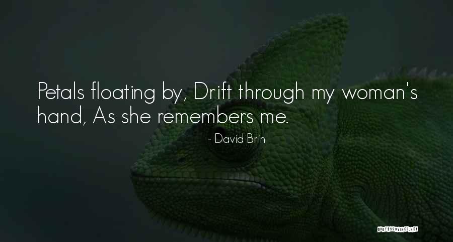 David Brin Quotes 1401393
