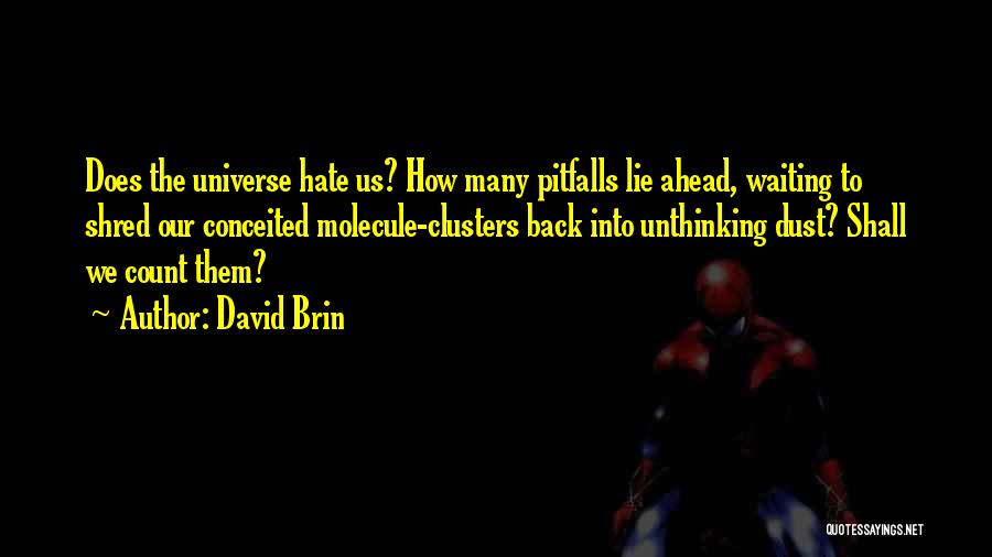 David Brin Quotes 1538060