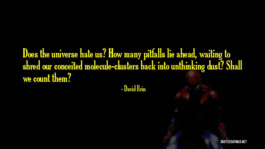 David Brin Quotes 1538060