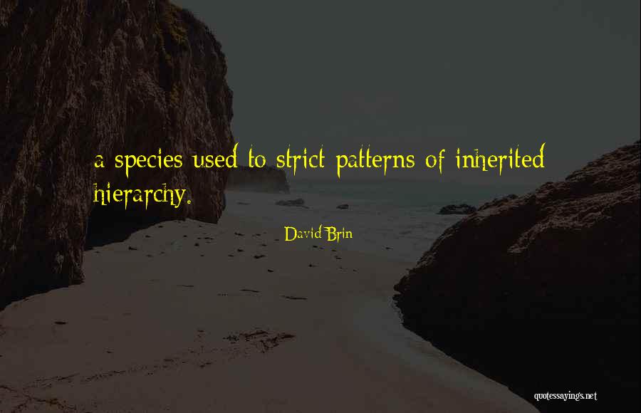 David Brin Quotes 1653754