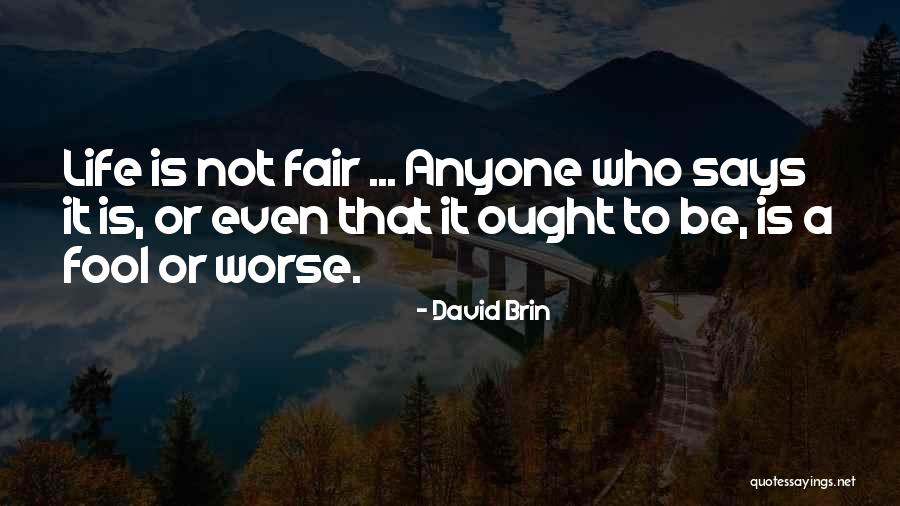 David Brin Quotes 1798817