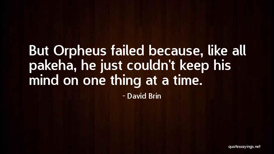 David Brin Quotes 195317