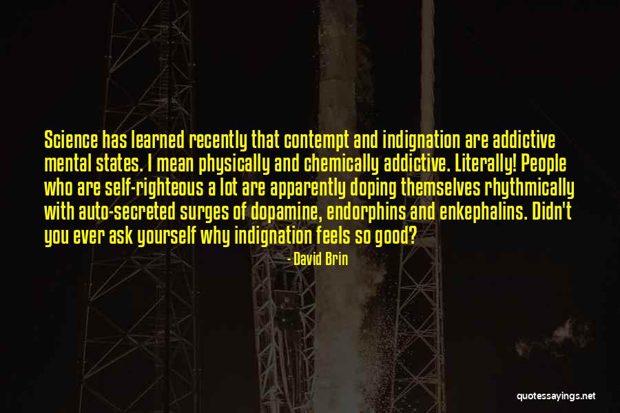 David Brin Quotes 859038