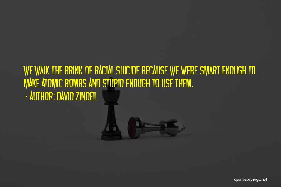 David Brink Quotes By David Zindell