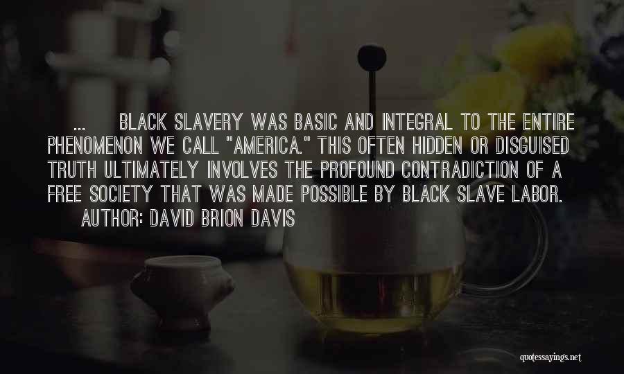 David Brion Davis Quotes 1737371