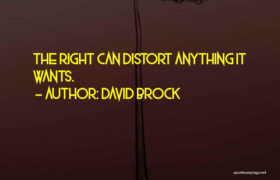 David Brock Quotes 879554