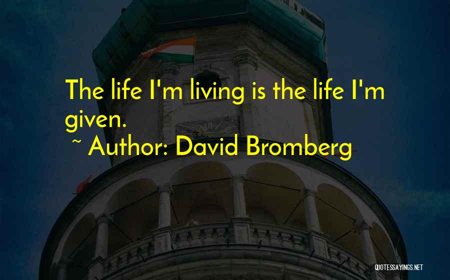 David Bromberg Quotes 1148231