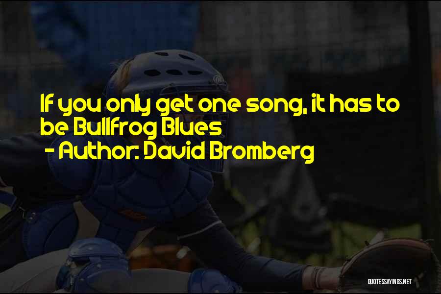 David Bromberg Quotes 1696957