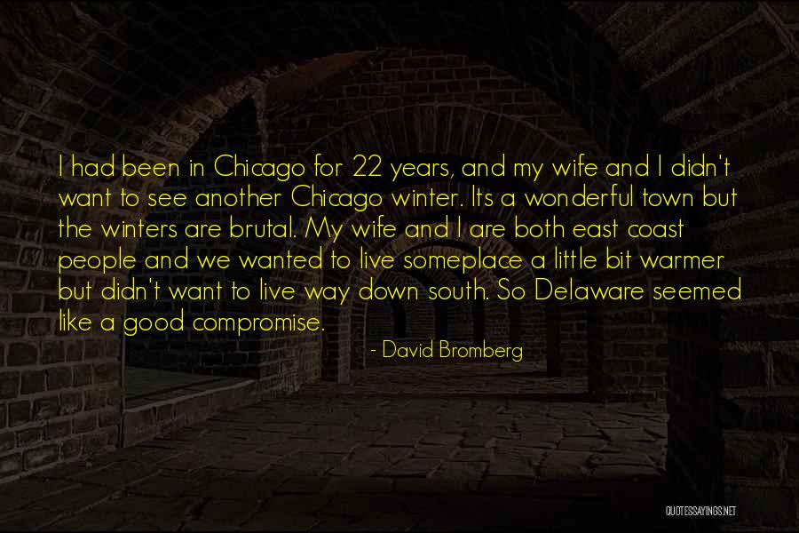 David Bromberg Quotes 777259