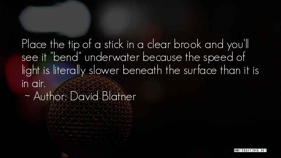 David Brook Quotes By David Blatner