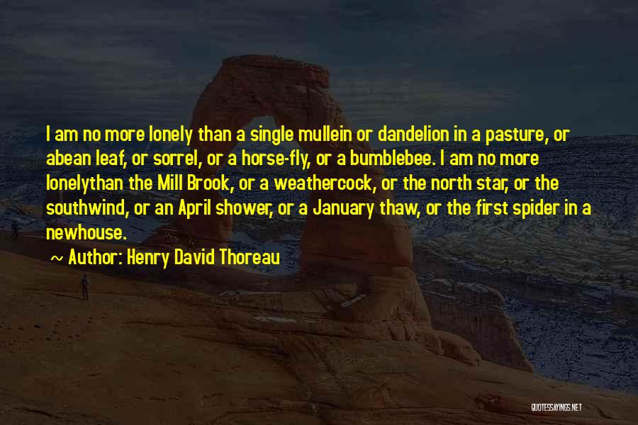 David Brook Quotes By Henry David Thoreau