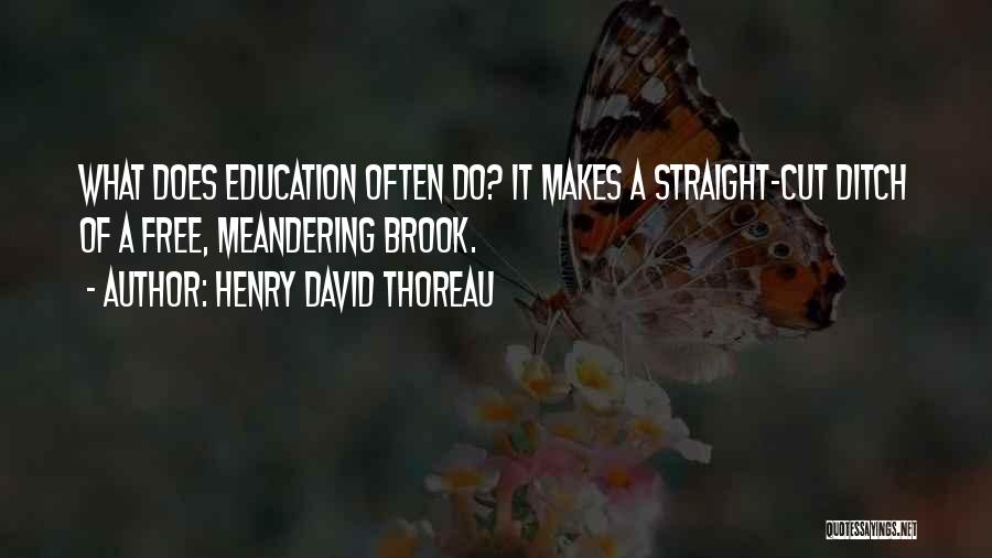 David Brook Quotes By Henry David Thoreau