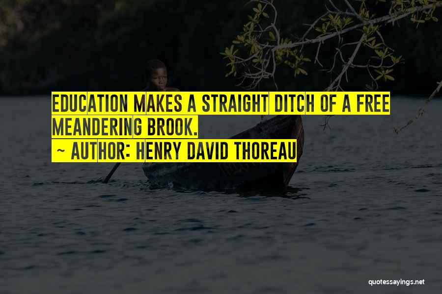 David Brook Quotes By Henry David Thoreau