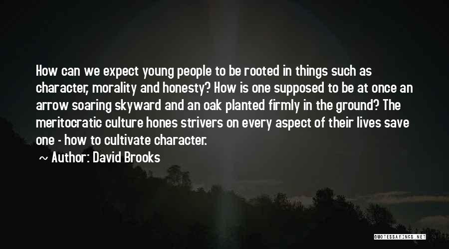 David Brooks Character Quotes By David Brooks